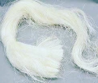 Sisal Fiber Ug Grade - Image 3